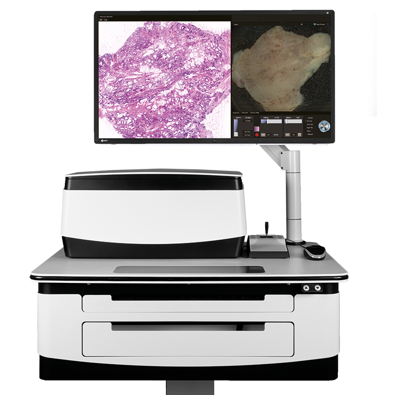 Workflow Instant Digital Pathology