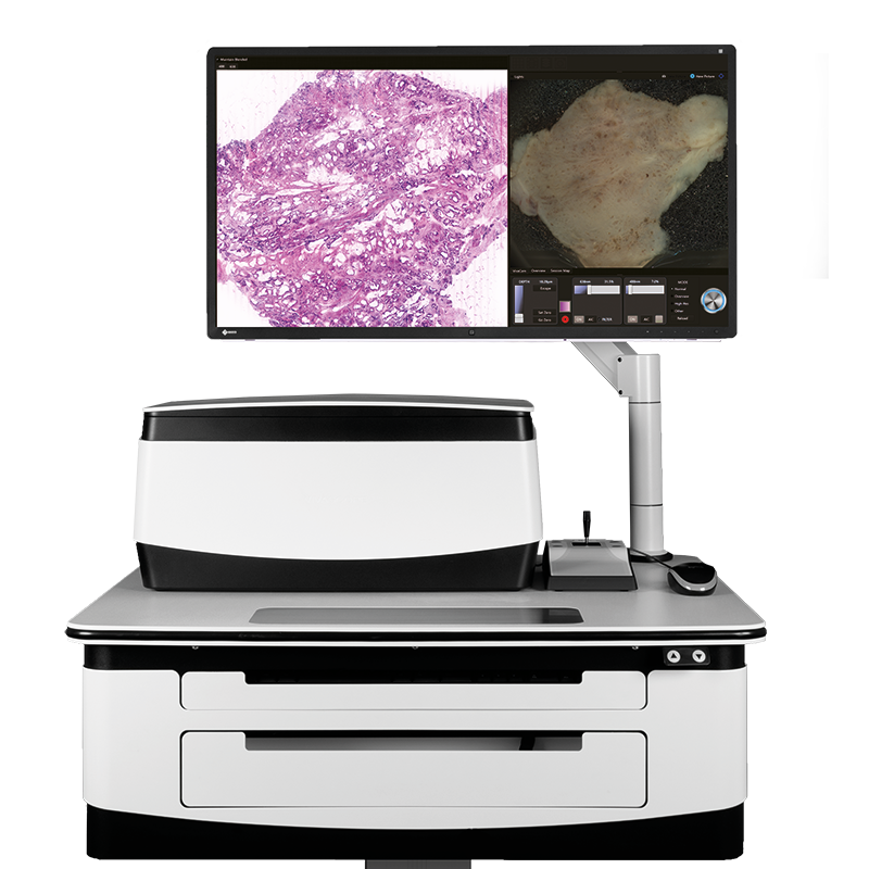 Workflow Instant Digital Pathology